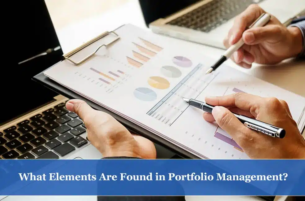 What elements are found in portfolio management